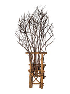 Vintage, handmade rustic twig chair in a full back view featuring tall, branching backrest, slatted branch seat, and cross-braced legs. Made from raw branches with unpeeled bark. Sold vintage as-is in very good condition.