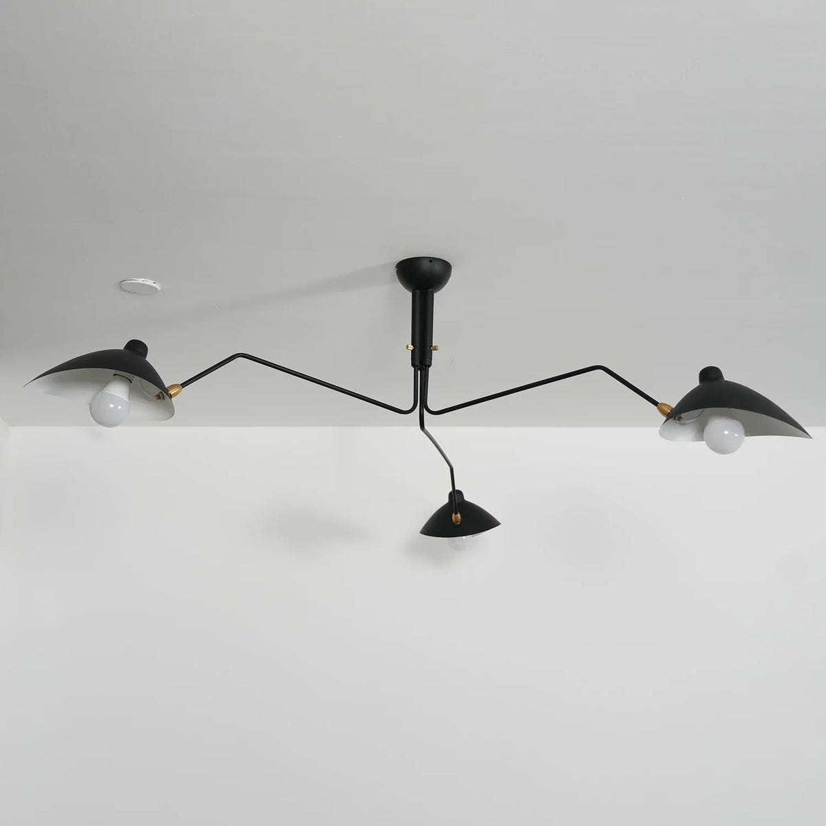 Spider-Arm Rotation Duckbill Ceiling Light