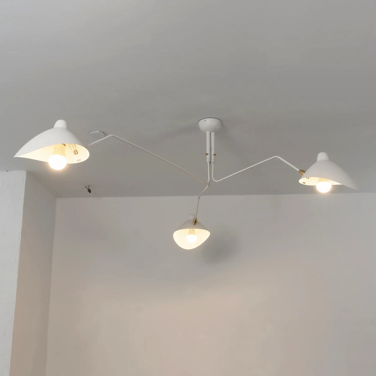 Spider-Arm Rotation Duckbill Ceiling Light