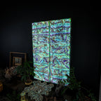 Fluorite Crystal Wall Panels (Set #6)